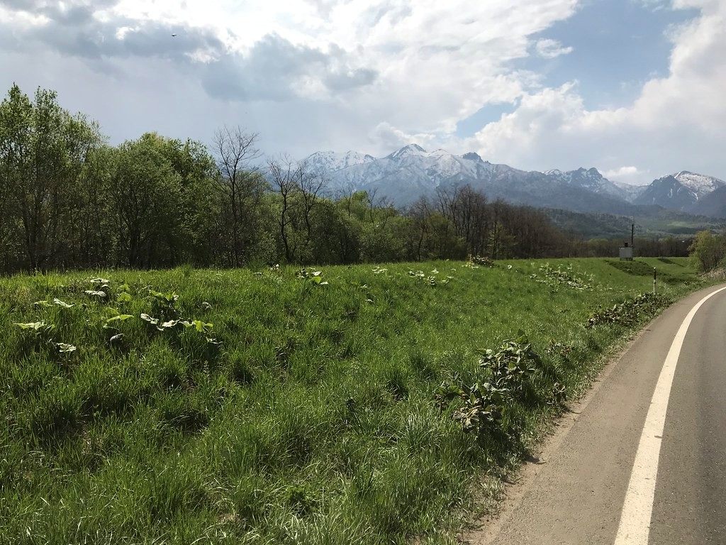 北海道の山並みと郊外の道路